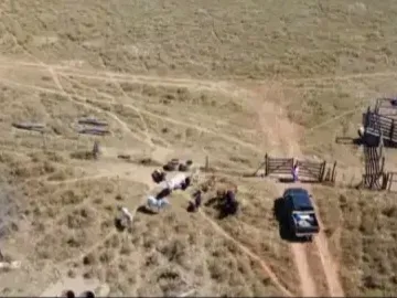 Fazenda em Formosa/Goiás — Ref JF80DX — Imagem 6