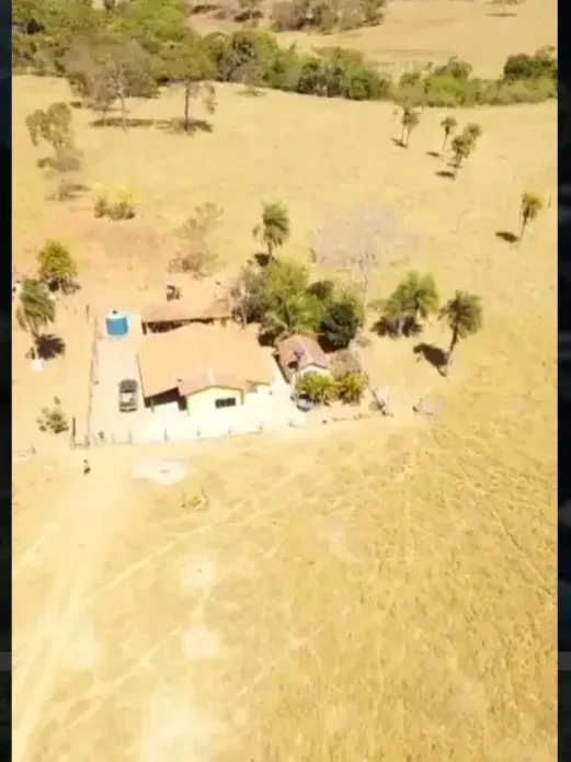 Fazenda em Formosa/Goiás — Ref JF80DX — Imagem 8