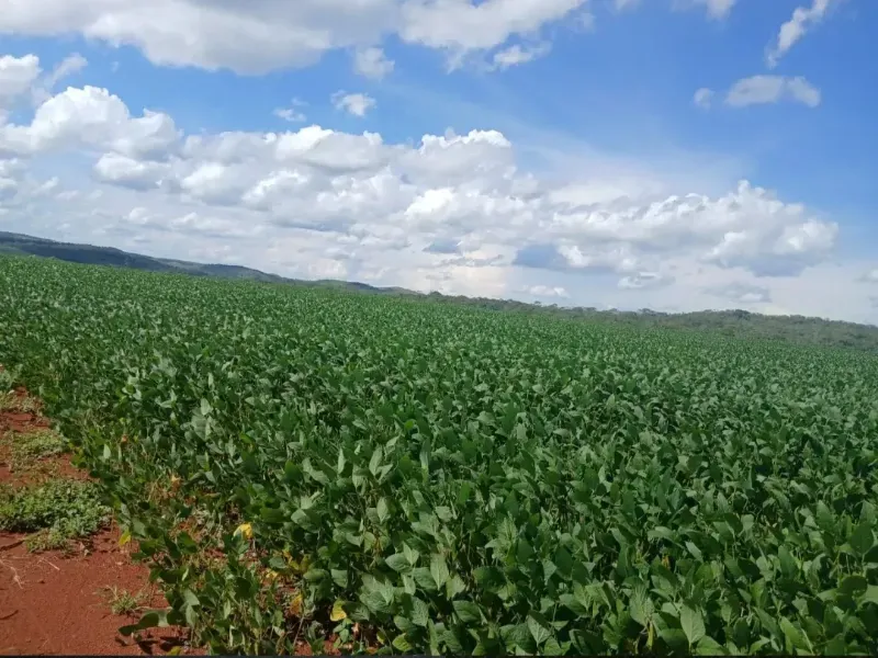 Imóvel rural em Formosa/Goiás — Ref GB083V1