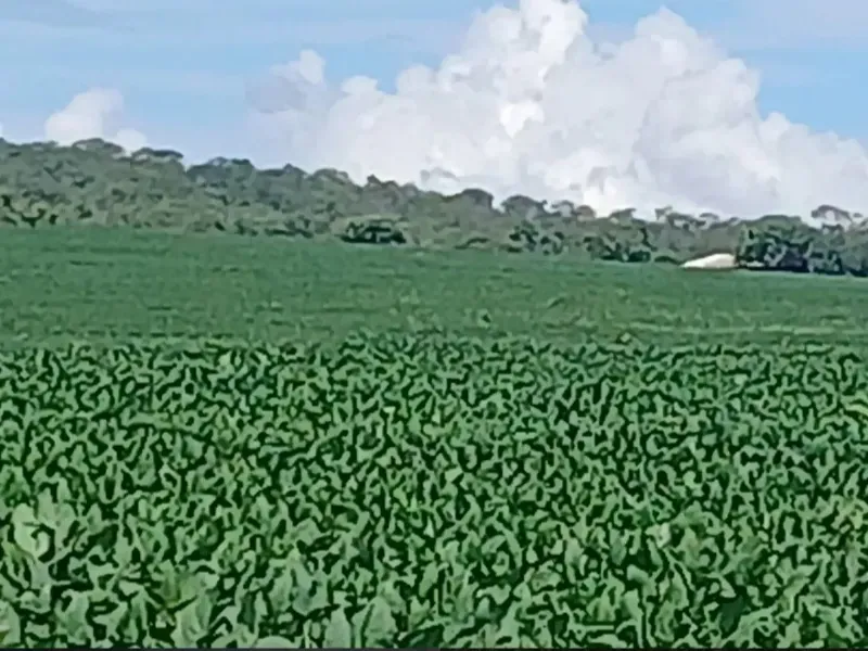 Fazenda em Formosa/Goiás — Ref GB083V — Imagem 14
