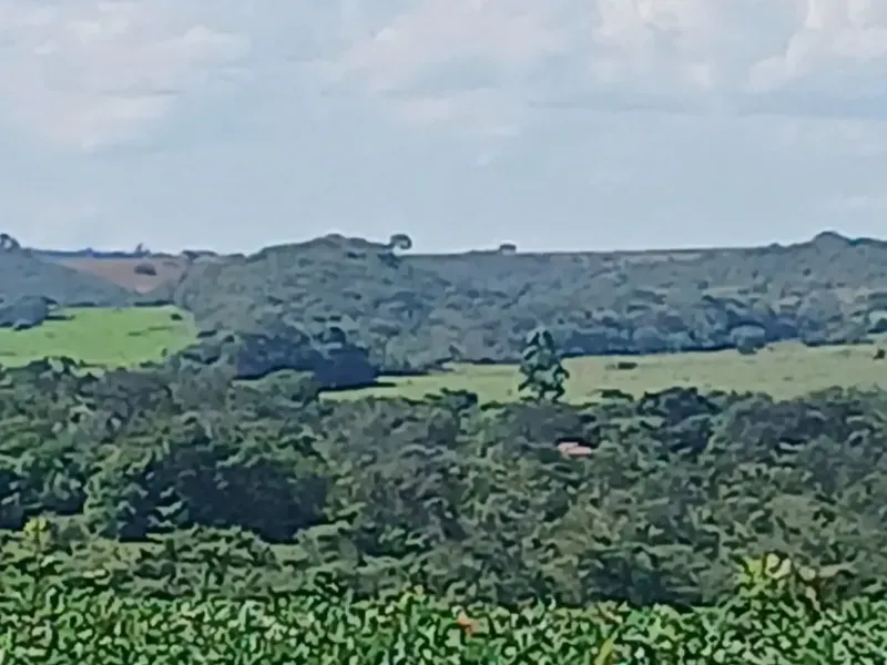 Fazenda em Formosa/Goiás — Ref GB083V — Imagem 15