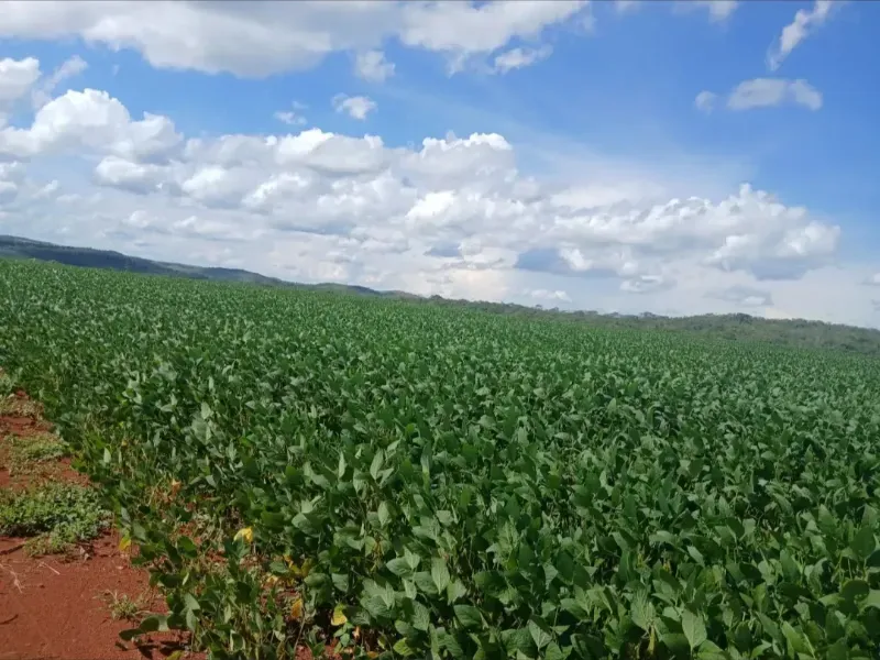 Fazenda em Formosa/Goiás — Ref GB083V — Imagem 23