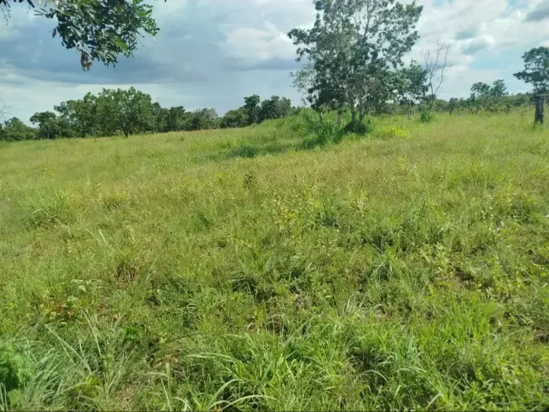 Fazenda em Formosa/Goiás — Ref RAA6LZ — Imagem 2