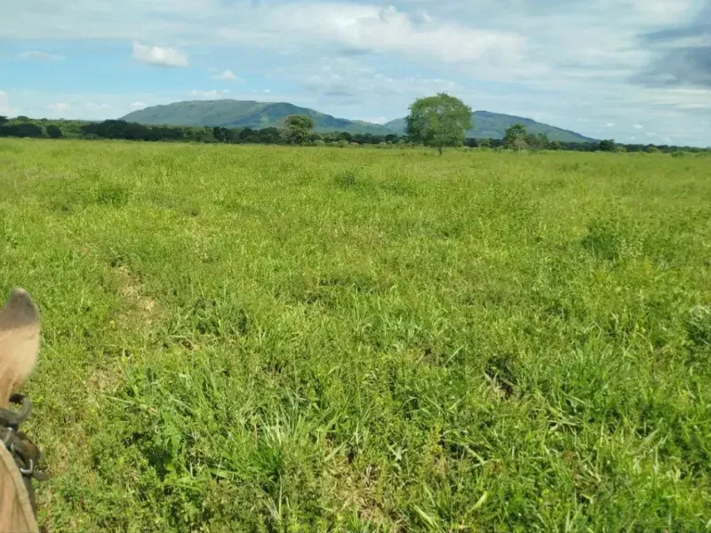 Fazenda em Formosa/Goiás — Ref RAA6LZ — Imagem 3