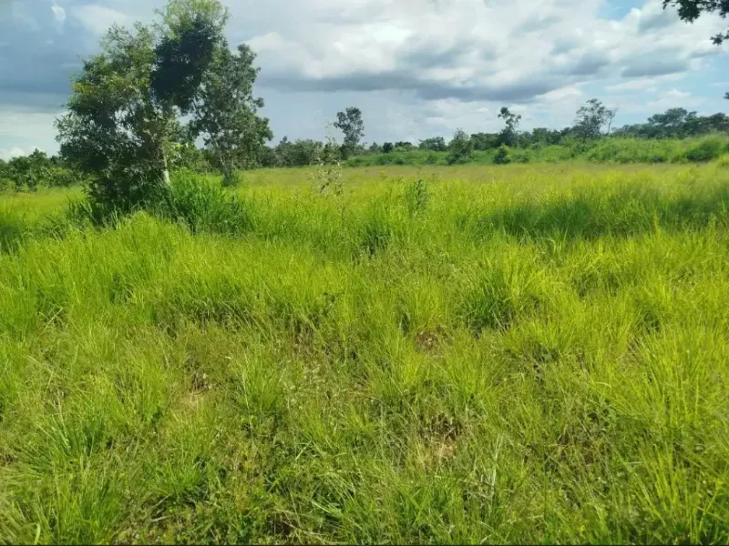 Fazenda em Formosa/Goiás — Ref RAA6LZ — Imagem 4