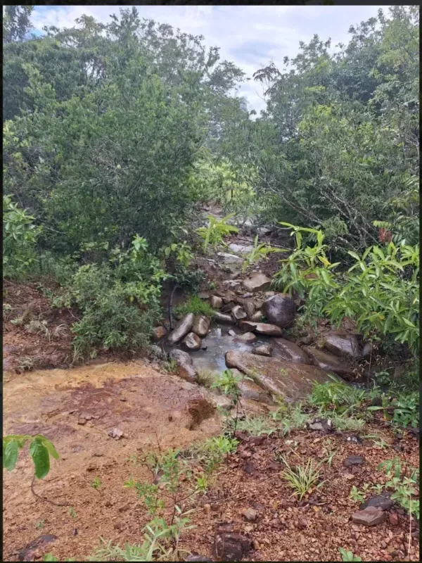 Fazenda em Formosa/Goiás — Ref RAA6LZ — Imagem 7