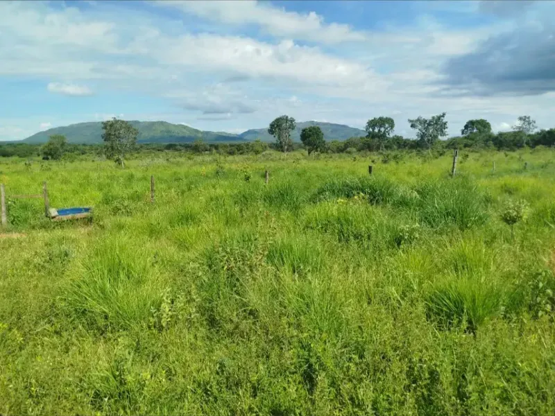 Fazenda em Formosa/Goiás — Ref RAA6LZ — Imagem 9