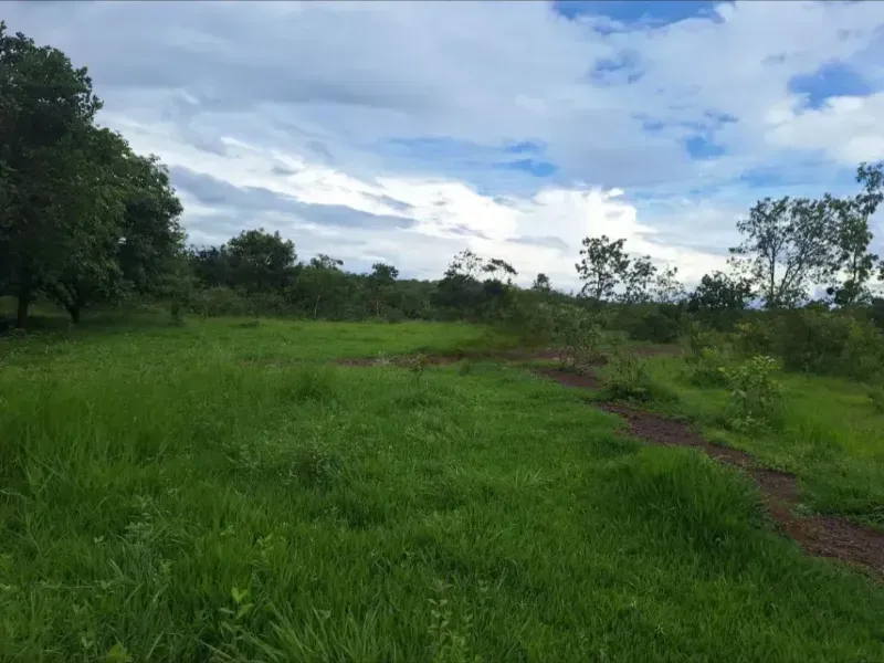 Fazenda em Formosa/Goiás — Ref RAA6LZ — Imagem 11
