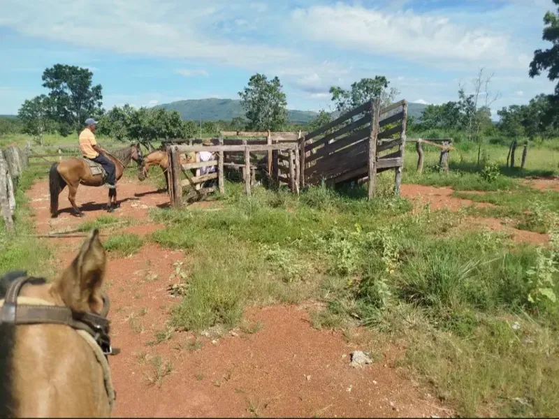 Fazenda em Formosa/Goiás — Ref RAA6LZ — Imagem 12