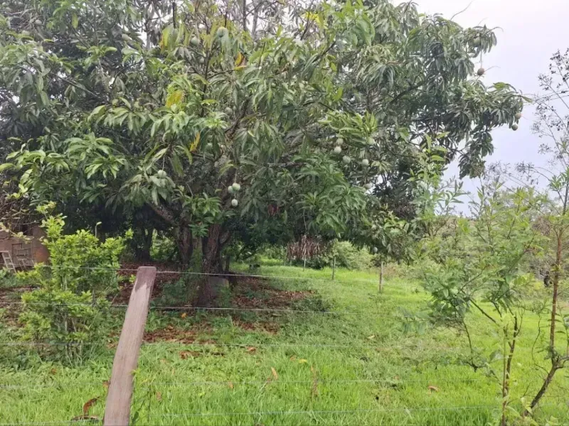 Fazenda em Formosa/Goiás — Ref RAA6LZ — Imagem 13