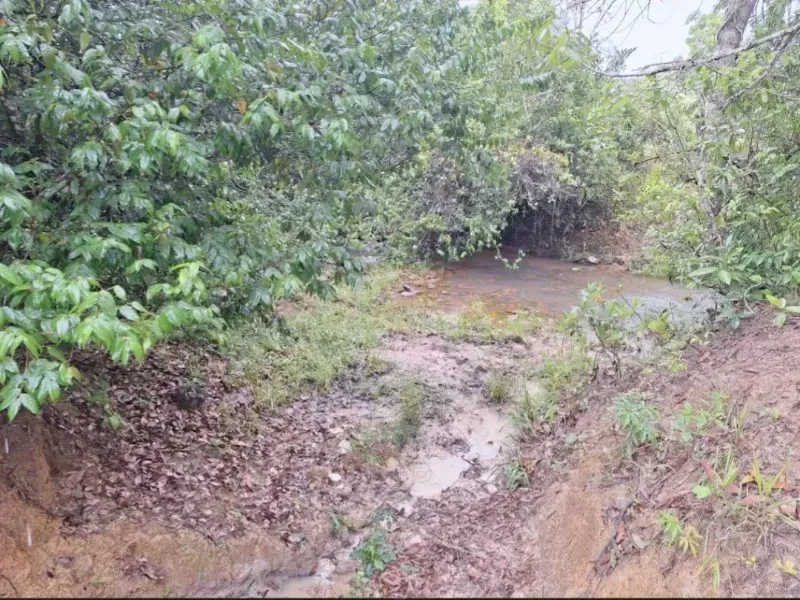 Fazenda em Formosa/Goiás — Ref RAA6LZ — Imagem 15