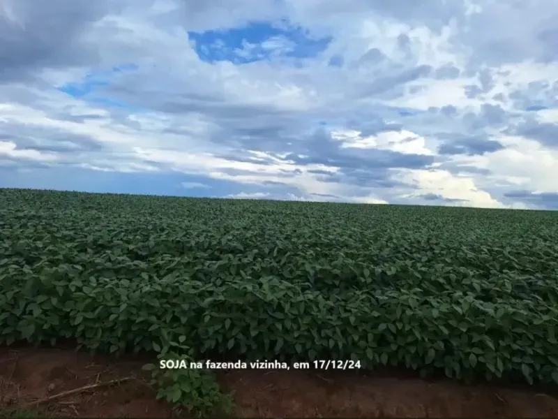 Fazenda em Formosa/Goiás — Ref RAA6LZ — Imagem 17