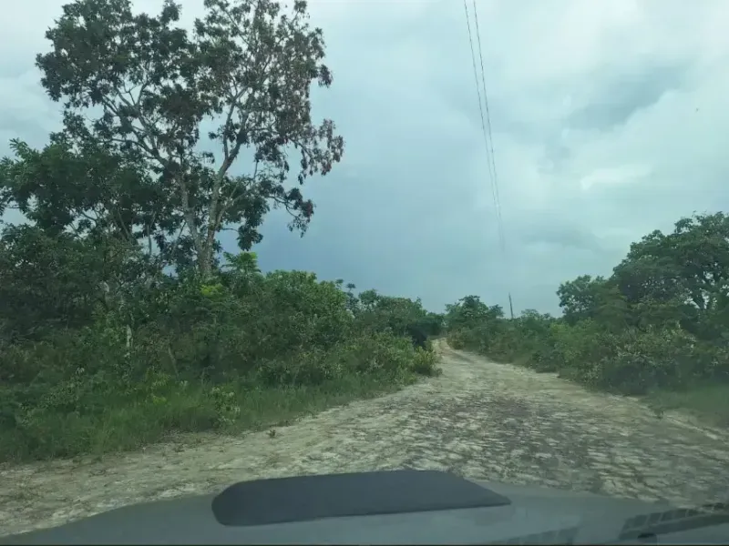 Fazenda em Formosa/Goiás — Ref RAA6LZ — Imagem 18