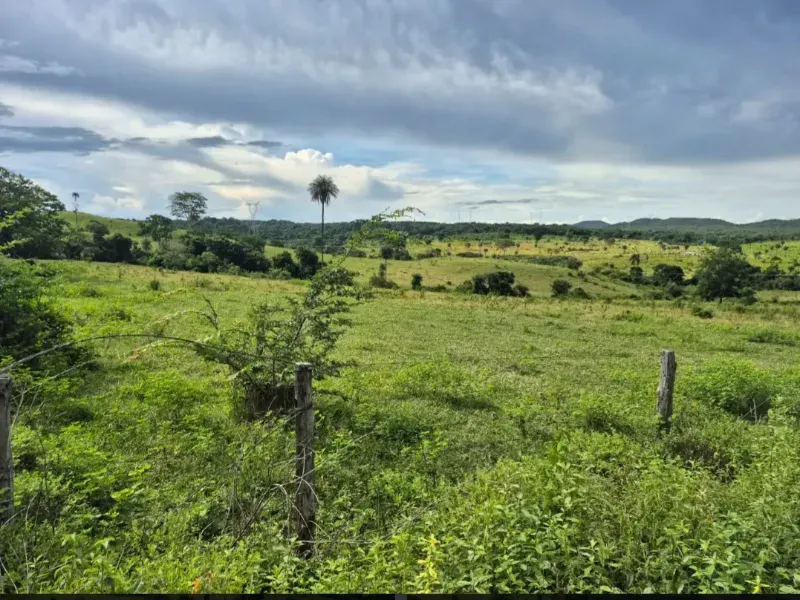 Fazenda em Formosa/Goiás — Ref K6HEUN — Imagem 2
