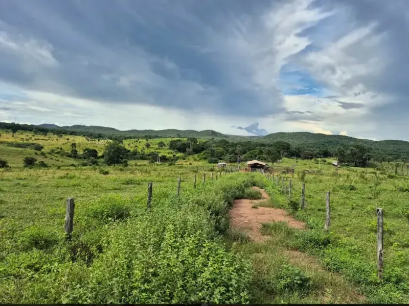 Fazenda em Formosa/Goiás — Ref K6HEUN — Imagem 3
