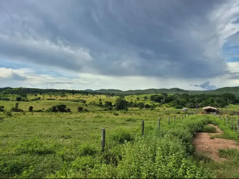 Fazenda em Formosa/Goiás — Ref K6HEUN — Imagem 4