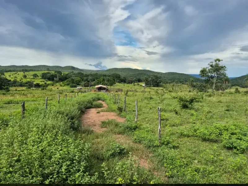 Fazenda em Formosa/Goiás — Ref K6HEUN — Imagem 5