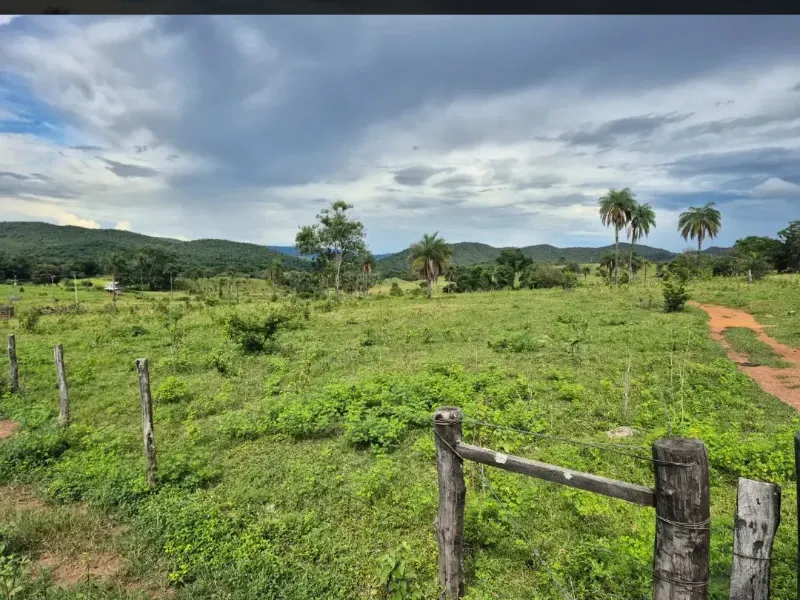 Fazenda em Formosa/Goiás — Ref K6HEUN — Imagem 6