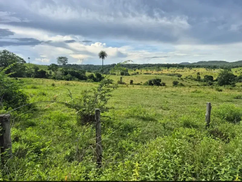 Fazenda em Formosa/Goiás — Ref K6HEUN — Imagem 7