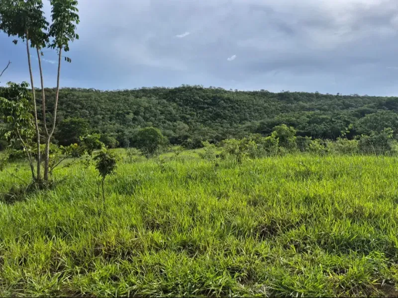 Fazenda em Formosa/Goiás — Ref K6HEUN — Imagem 8