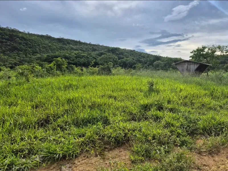 Fazenda em Formosa/Goiás — Ref K6HEUN — Imagem 9