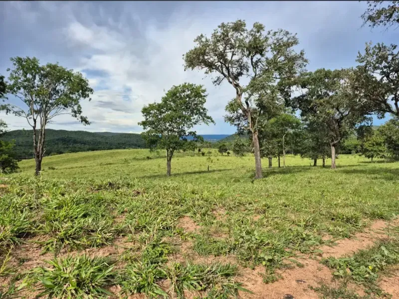 Fazenda em Formosa/Goiás — Ref K6HEUN — Imagem 10