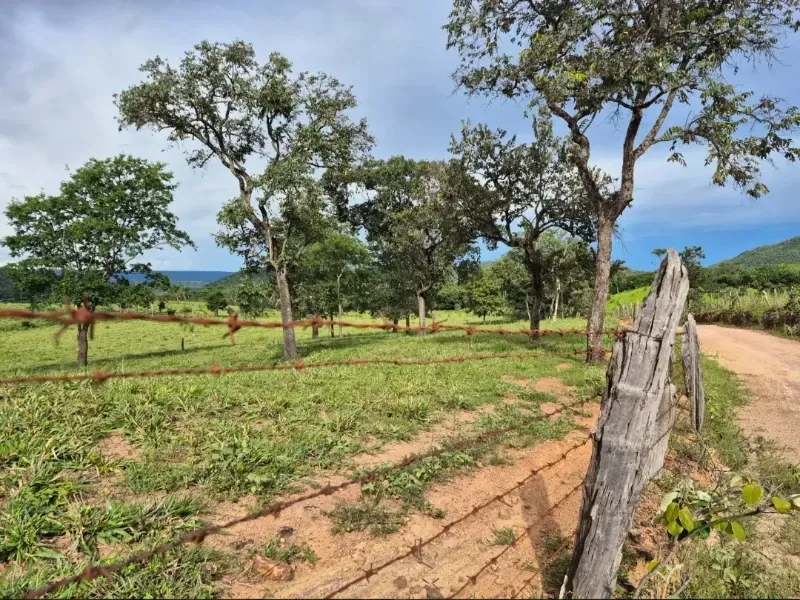 Fazenda em Formosa/Goiás — Ref K6HEUN — Imagem 11