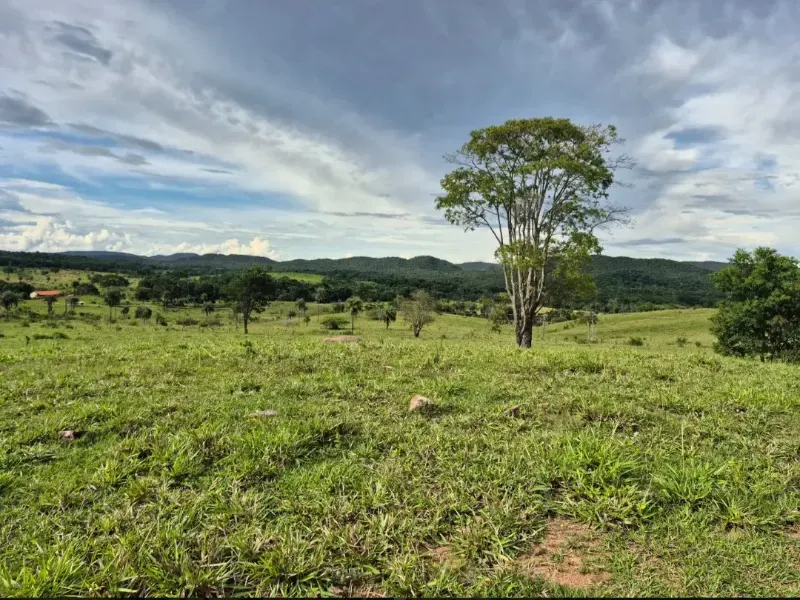 Fazenda em Formosa/Goiás — Ref K6HEUN — Imagem 12