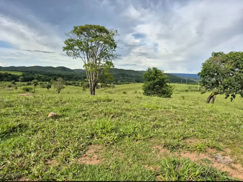 Fazenda em Formosa/Goiás — Ref K6HEUN — Imagem 13