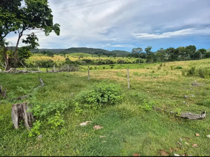 Fazenda em Formosa/Goiás — Ref K6HEUN — Imagem 16
