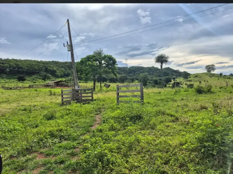 Fazenda em Formosa/Goiás — Ref K6HEUN — Imagem 18