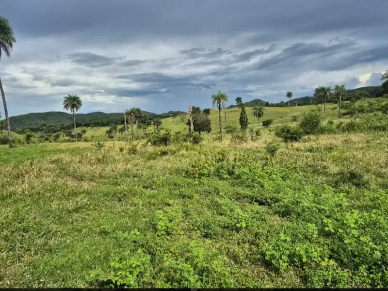 Fazenda em Formosa/Goiás — Ref K6HEUN — Imagem 19