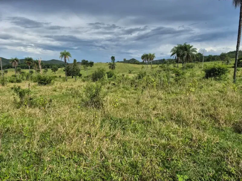 Fazenda em Formosa/Goiás — Ref K6HEUN — Imagem 20