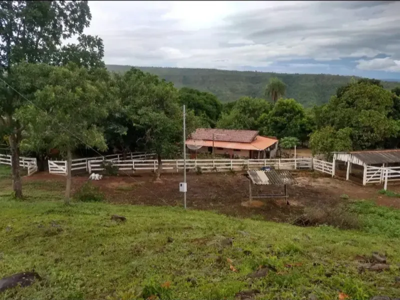 Fazenda em Formosa/Goiás — Ref 96I1QL — Imagem 3