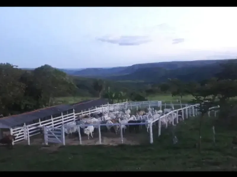 Fazenda em Formosa/Goiás — Ref 96I1QL — Imagem 7