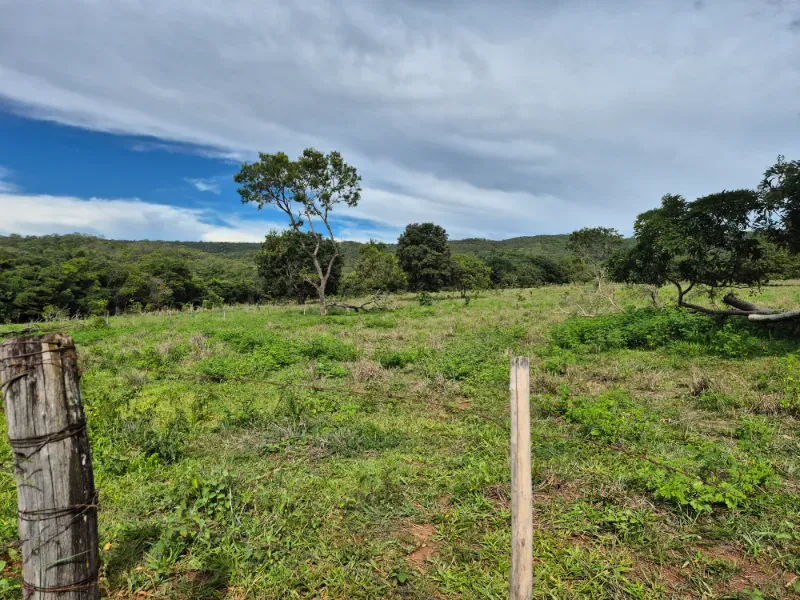 Fazenda em Formosa/Goiás — Ref 7UVD26 — Imagem 6