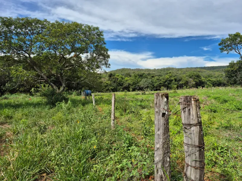 Fazenda em Formosa/Goiás — Ref 7UVD26 — Imagem 7