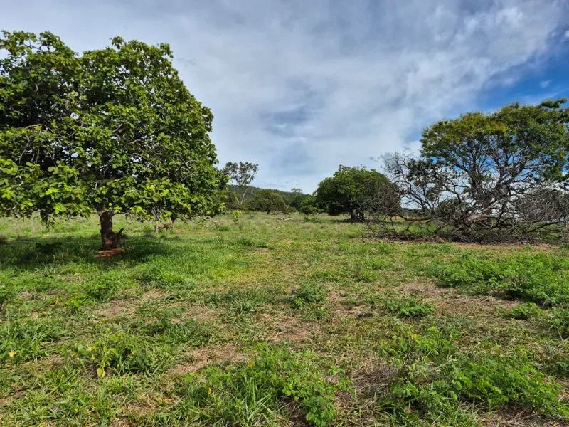 Fazenda em Formosa/Goiás — Ref 7UVD26 — Imagem 9