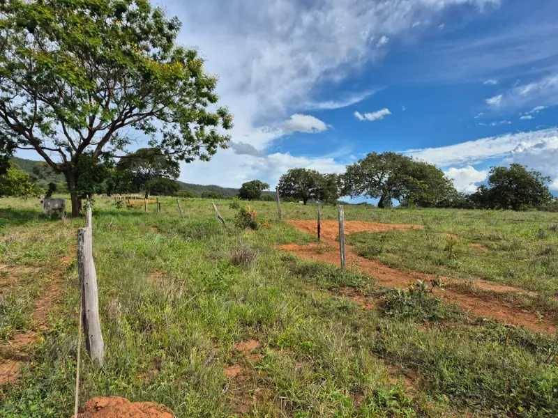 Fazenda em Formosa/Goiás — Ref 7UVD26 — Imagem 10