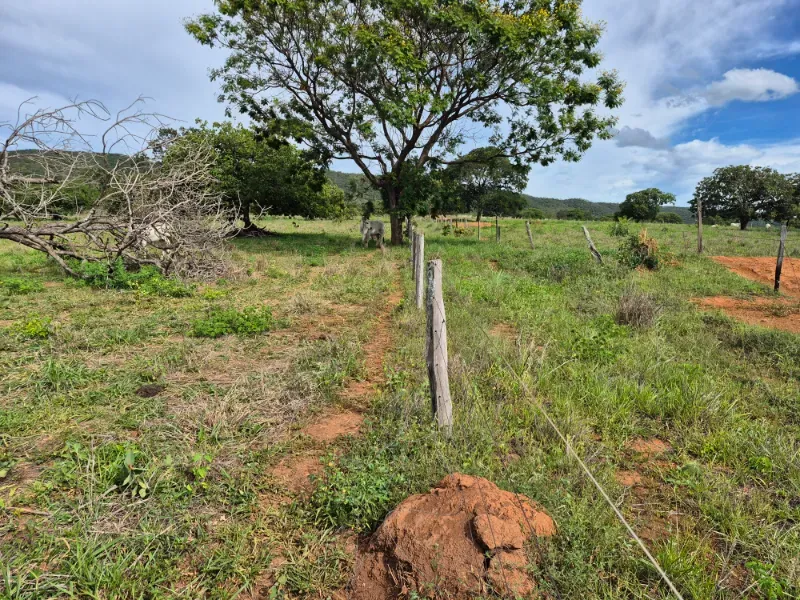 Fazenda em Formosa/Goiás — Ref 7UVD26 — Imagem 11