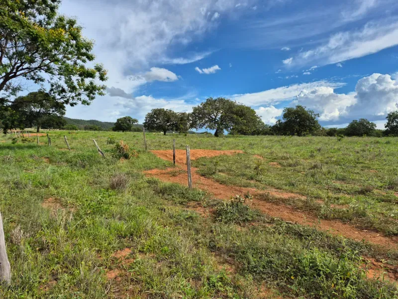 Fazenda em Formosa/Goiás — Ref 7UVD26 — Imagem 12