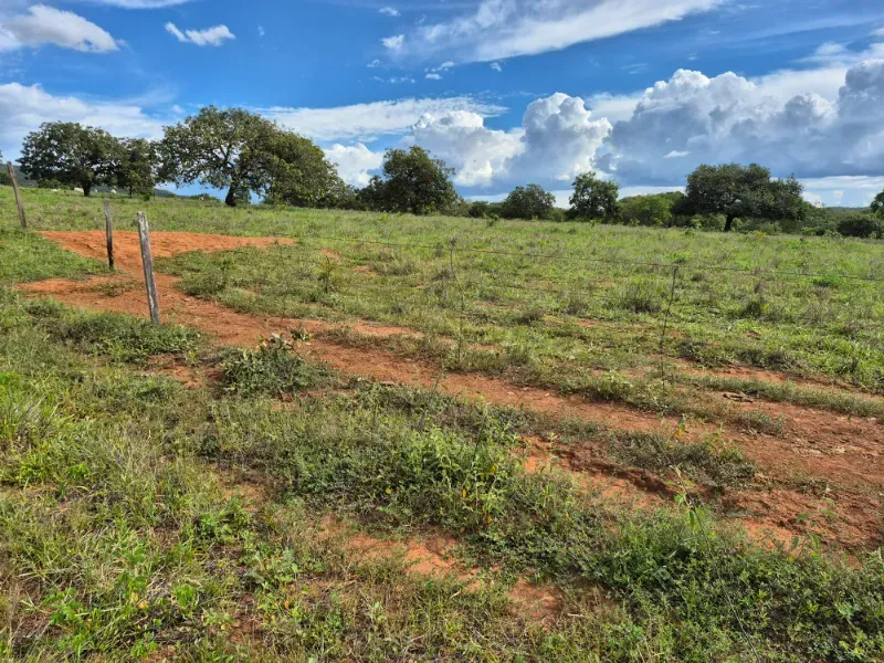 Fazenda em Formosa/Goiás — Ref 7UVD26 — Imagem 13