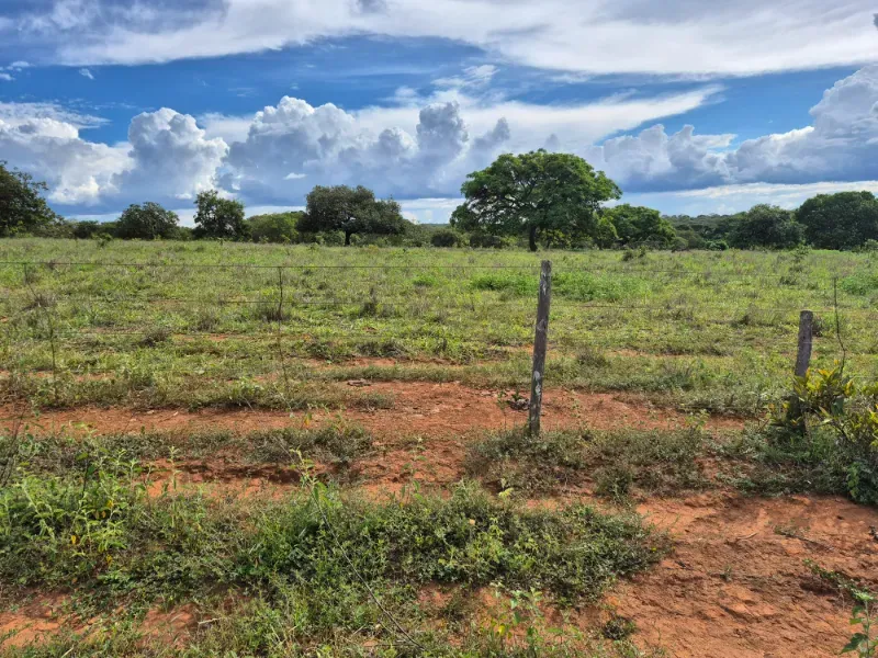 Fazenda em Formosa/Goiás — Ref 7UVD26 — Imagem 14