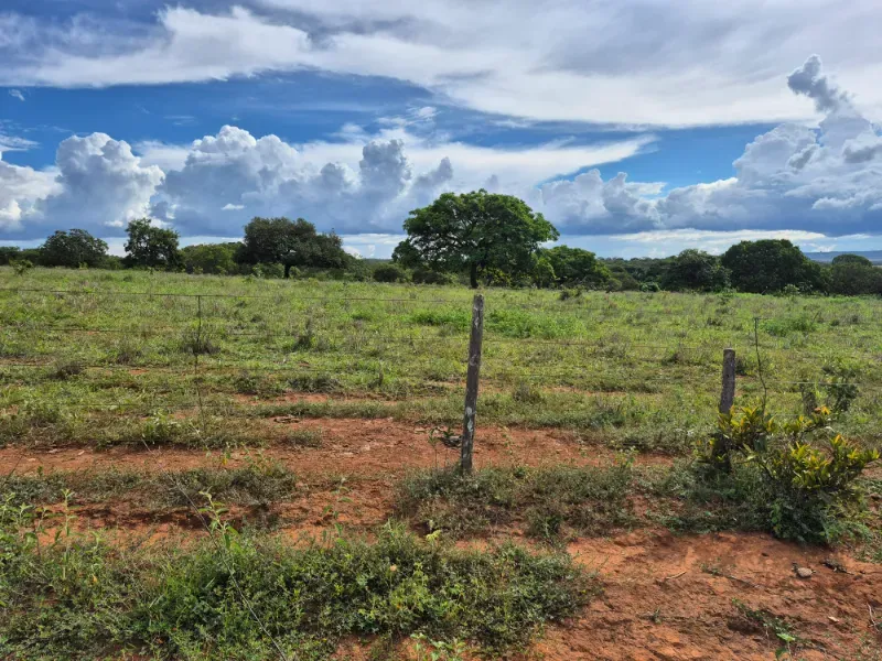 Fazenda em Formosa/Goiás — Ref 7UVD26 — Imagem 15