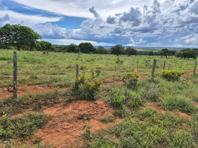 Fazenda em Formosa/Goiás — Ref 7UVD26 — Imagem 16