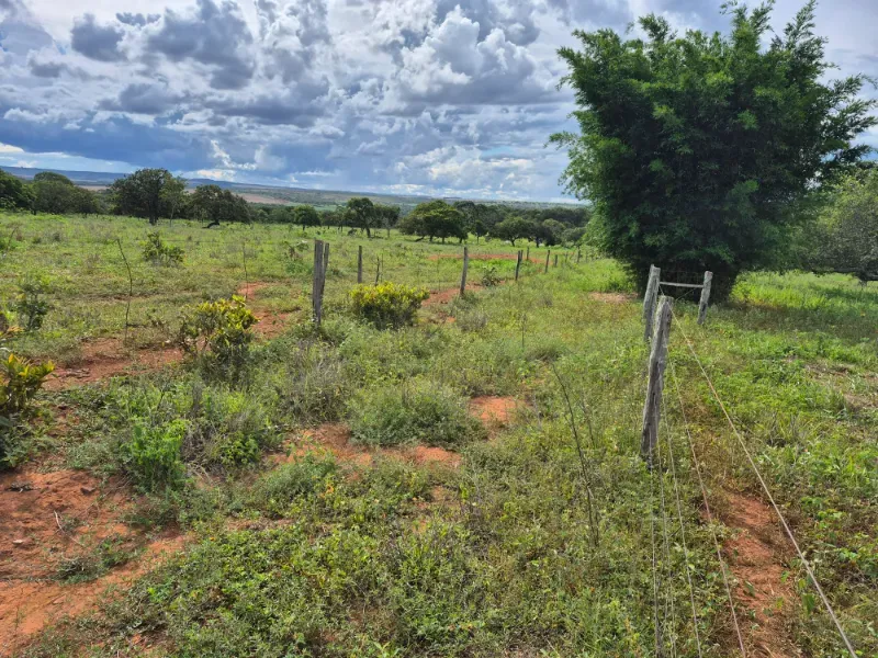 Fazenda em Formosa/Goiás — Ref 7UVD26 — Imagem 17