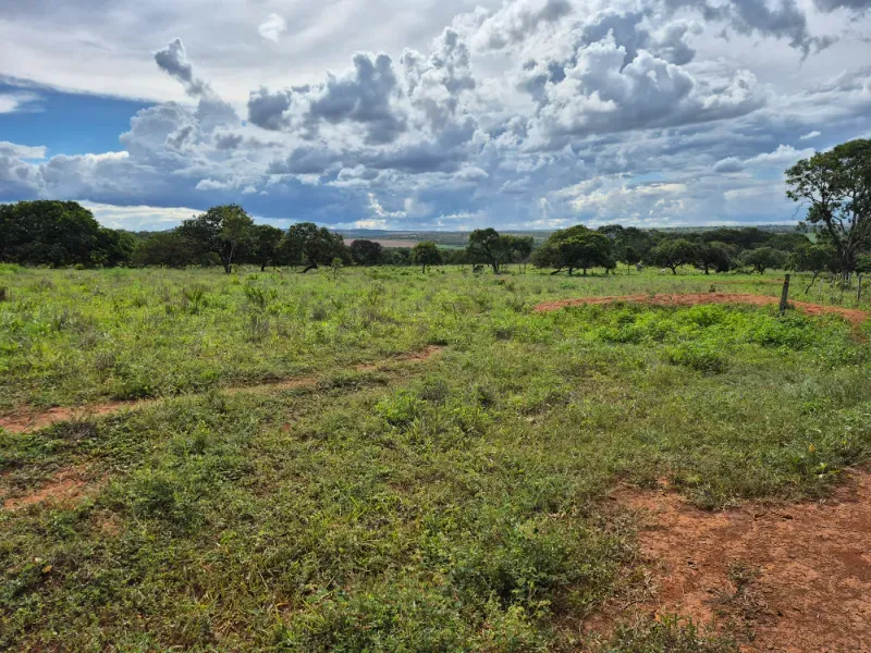 Fazenda em Formosa/Goiás — Ref 7UVD26 — Imagem 18