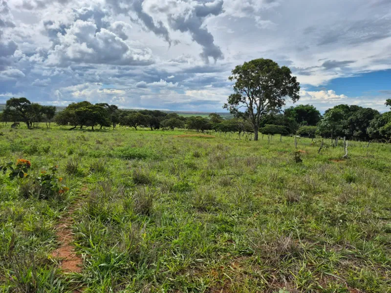 Fazenda em Formosa/Goiás — Ref 7UVD26 — Imagem 19