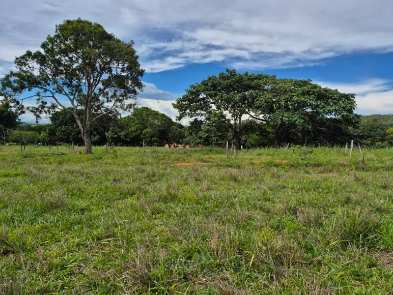 Fazenda em Formosa/Goiás — Ref 7UVD26 — Imagem 20
