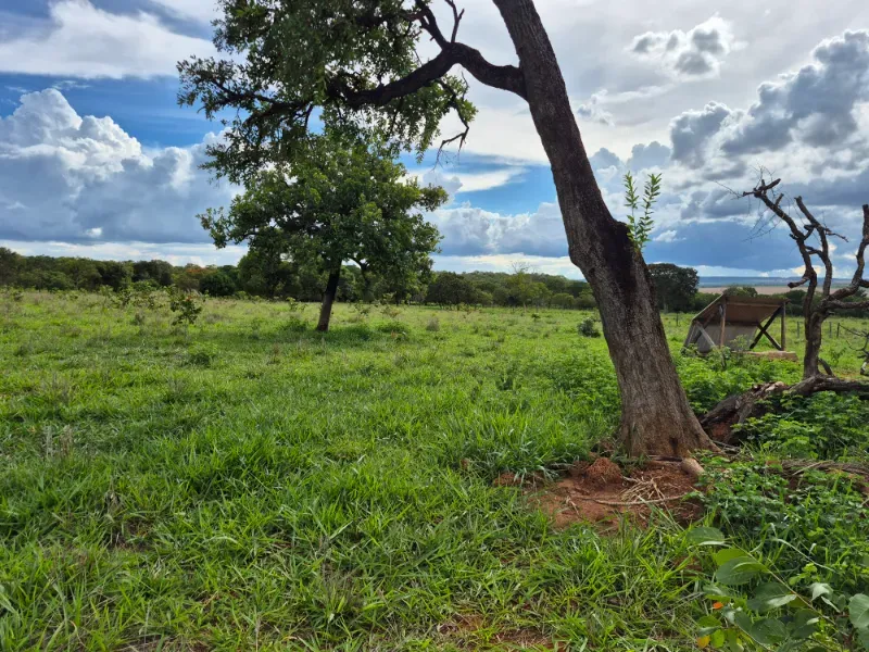Fazenda em Formosa/Goiás — Ref 7UVD26 — Imagem 21